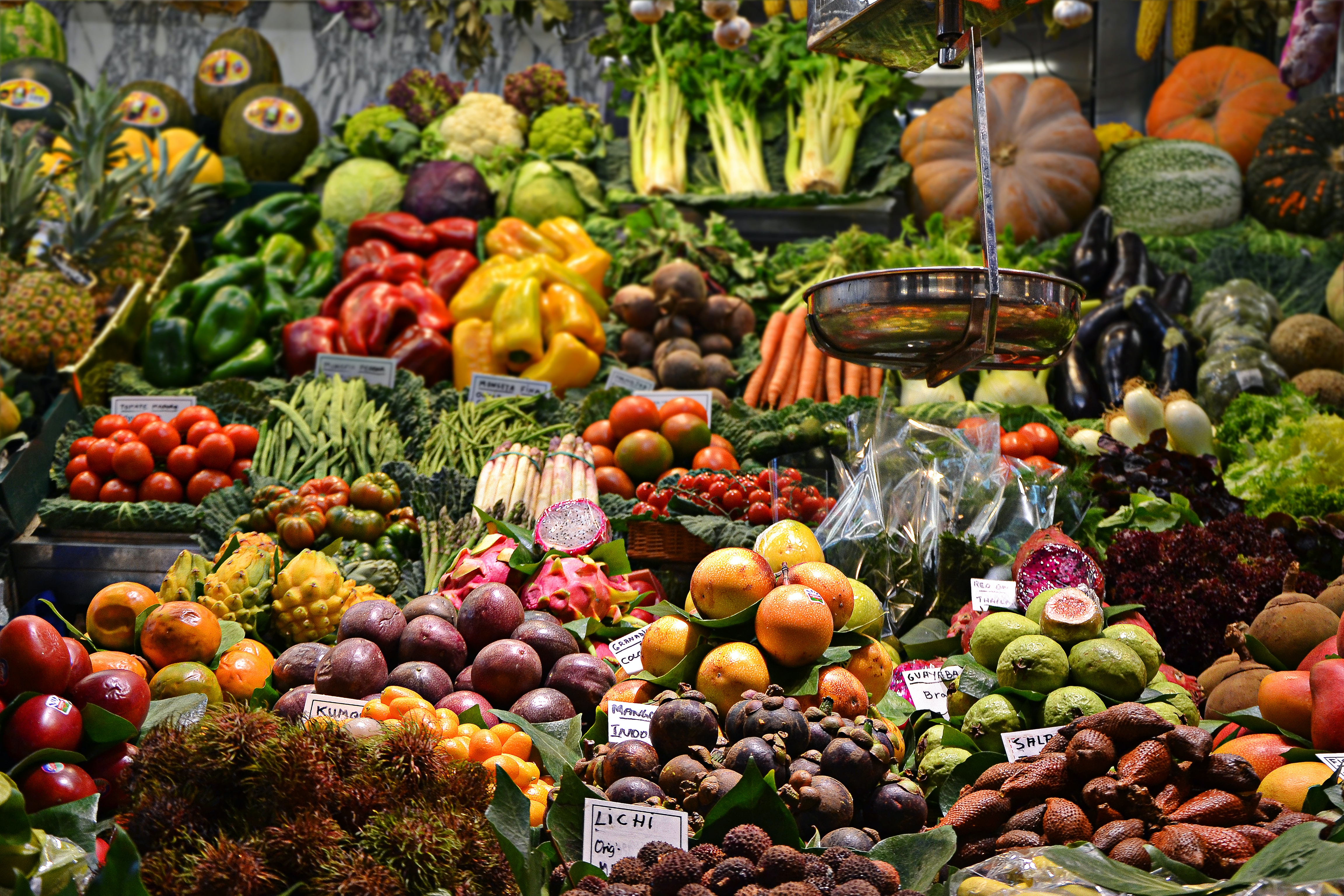 Photo of beautifully
            arranged food