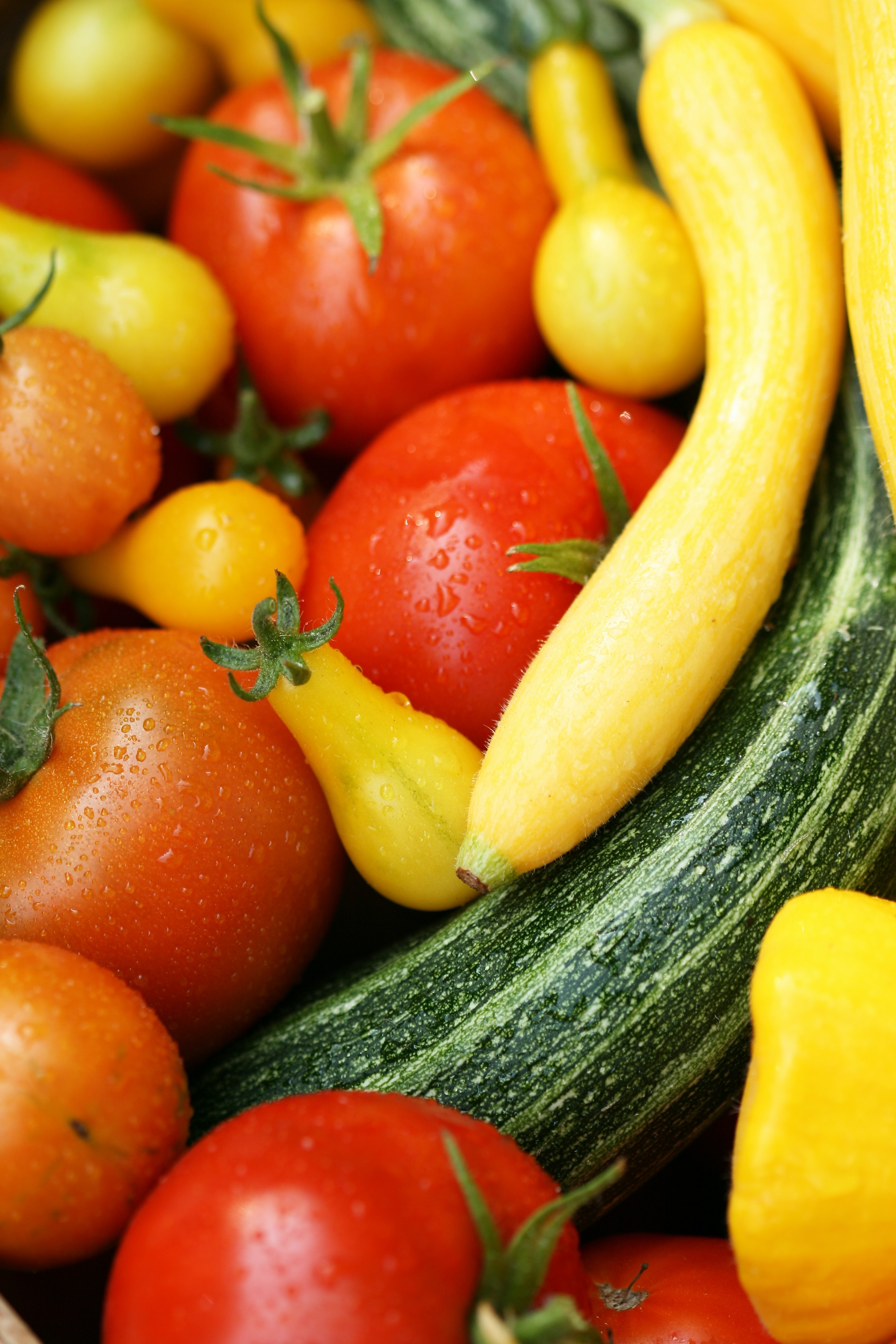 Photo of beautifully
            arranged food