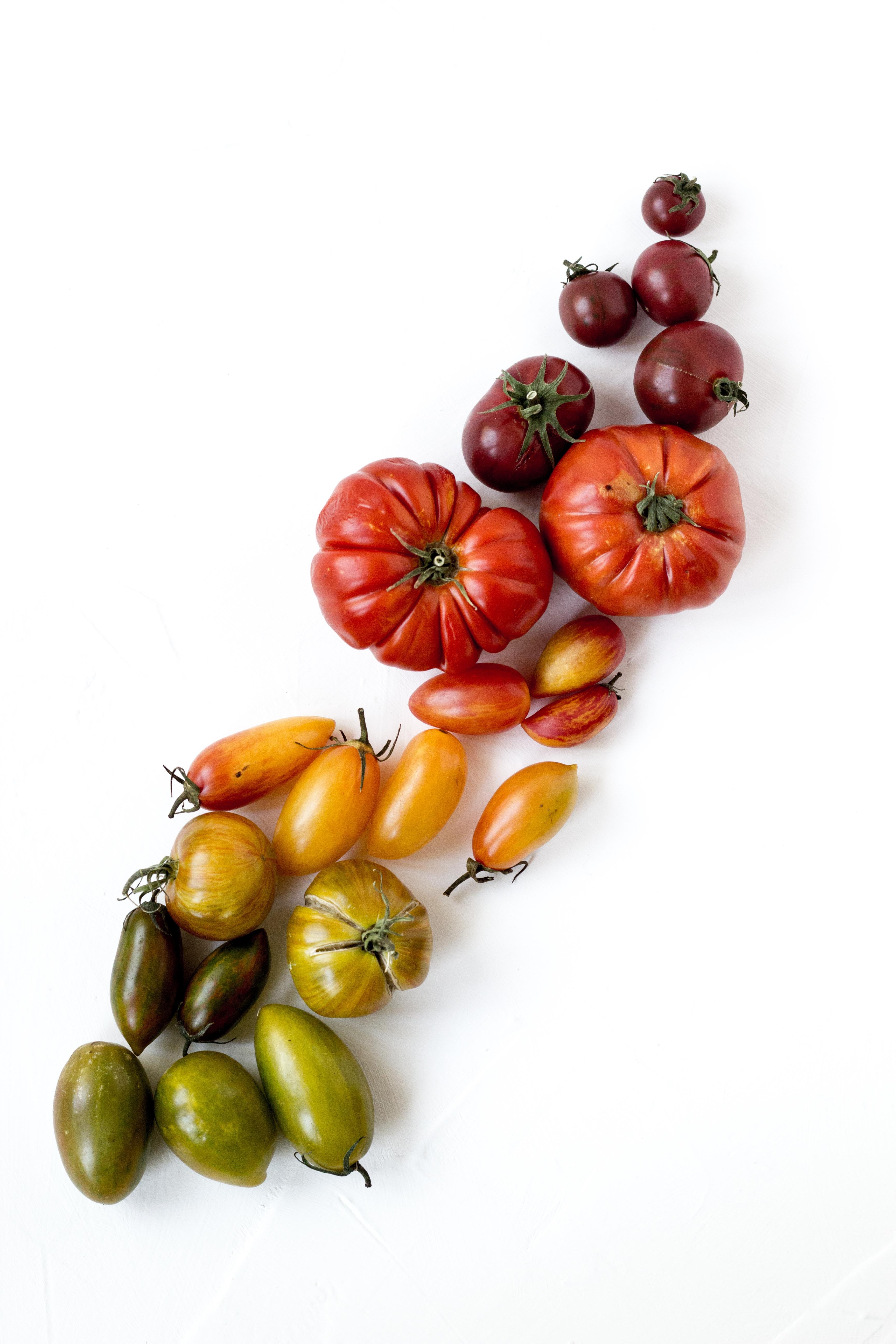 Photo of beautifully
            arranged food