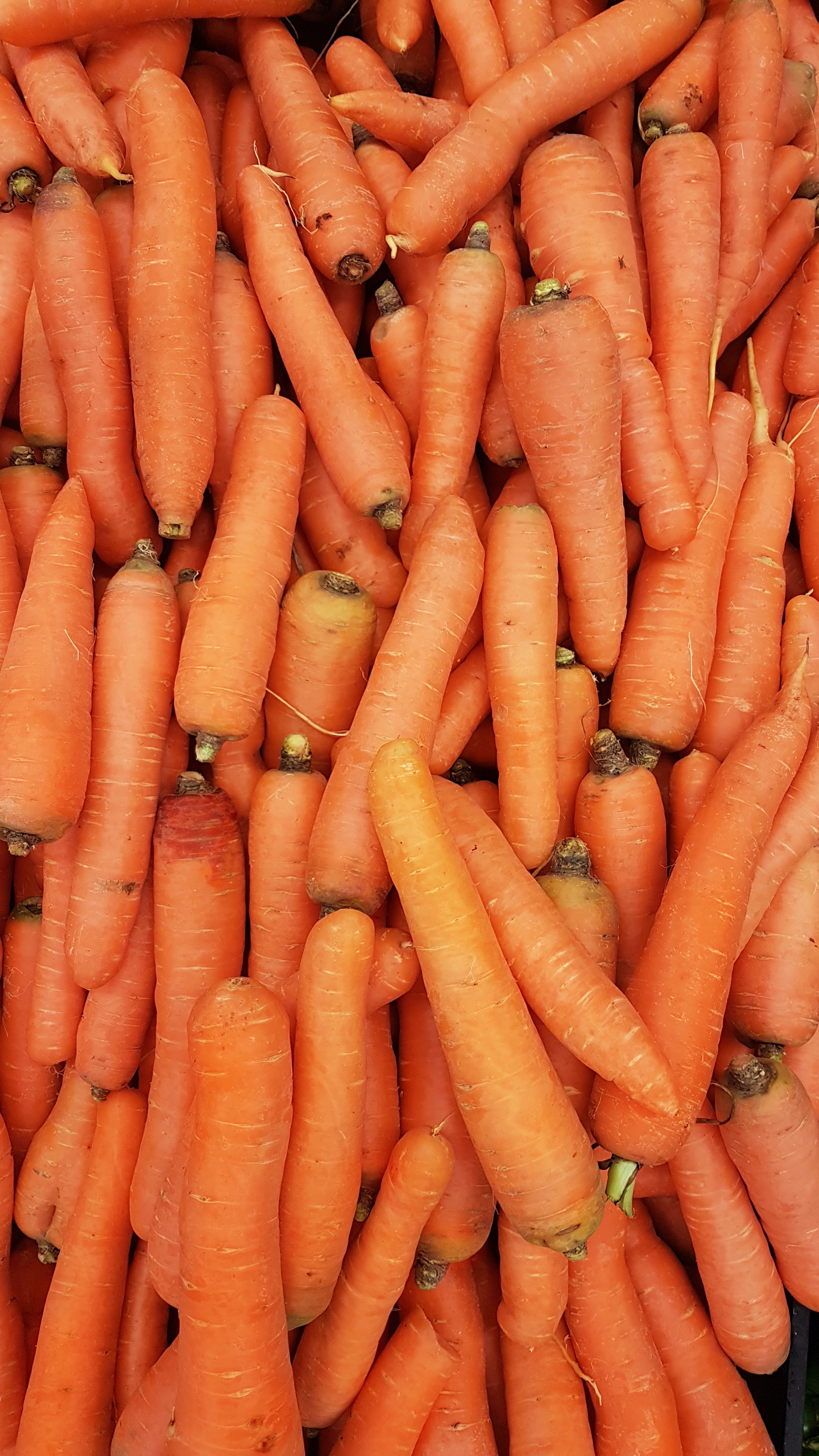 Photo of beautifully
            arranged food